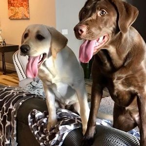 Meet your Posher, Darrell